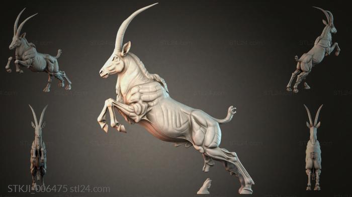 STKJI_006475 3d STL model