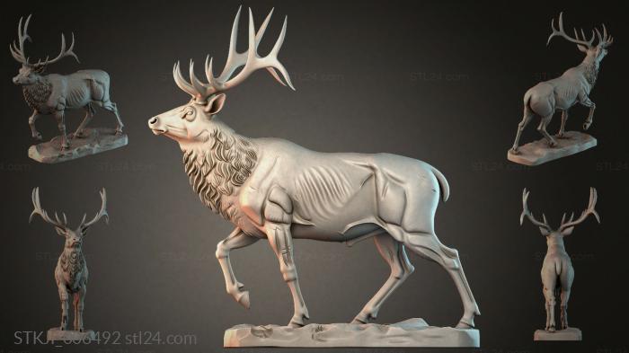 STKJI_006492 3d STL model