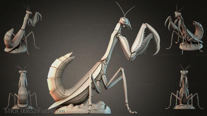 STKJI_006529 3d STL model