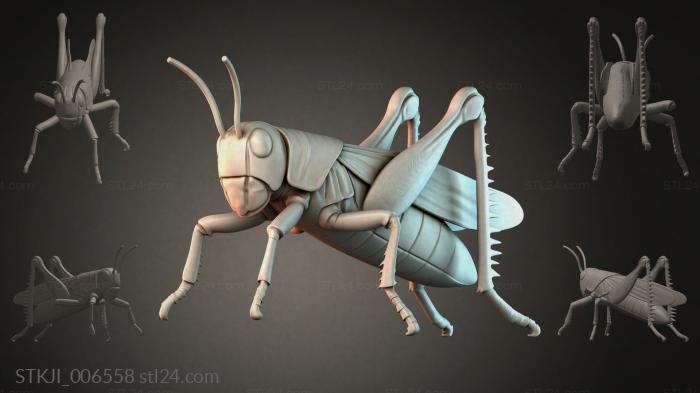 STKJI_006558 3d STL model
