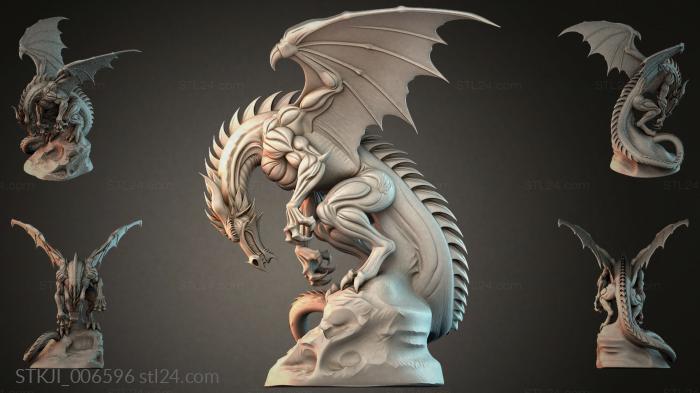 STKJI_006596 3d STL model