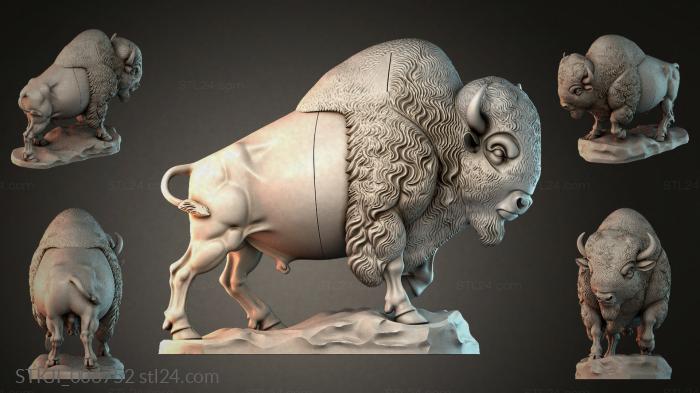 STKJI_006752 3d STL model