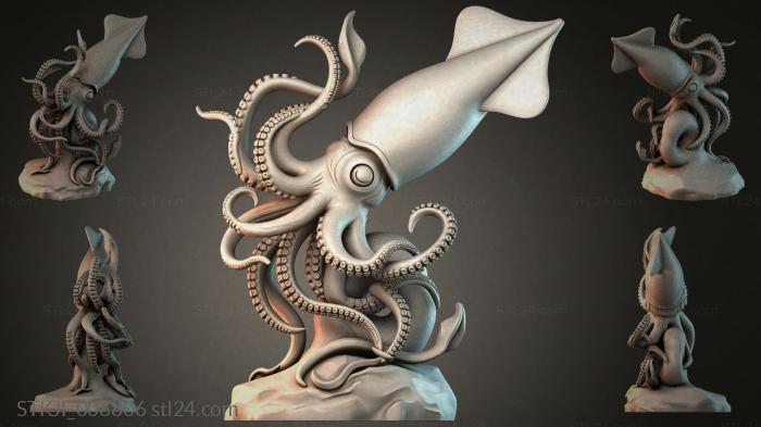 Кальмар с щупальцами и присосками 3D модель