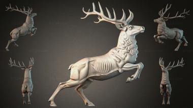Animal figurines STKJI_007018 3d model