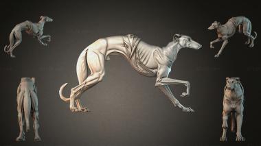 Animal figurines STKJI_007087 3d model
