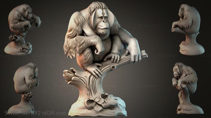 STKJI_007092 3d STL model