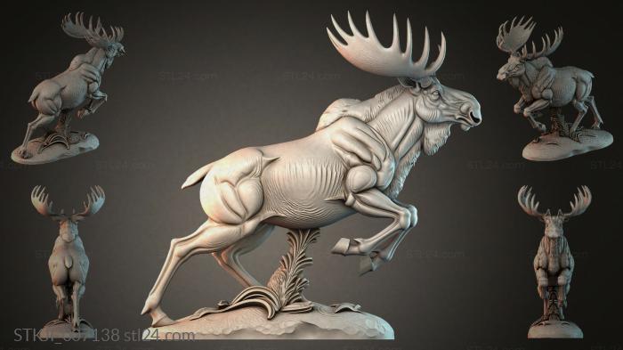 STKJI_007138 3d STL model
