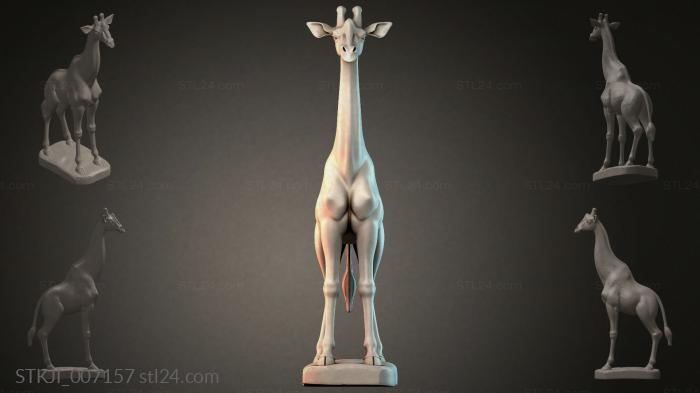 STKJI_007157 3d STL model