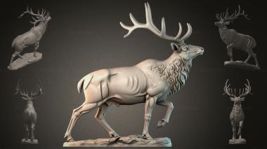 Animal figurines STKJI_007249 3d model