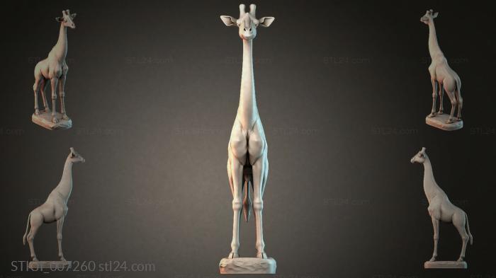 STKJI_007260 3d STL model