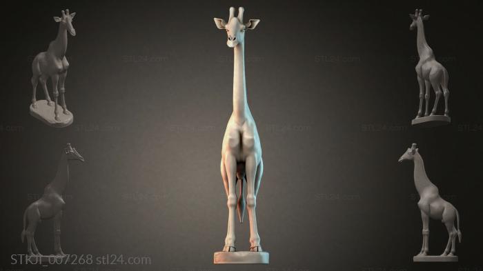 STKJI_007268 3d STL model