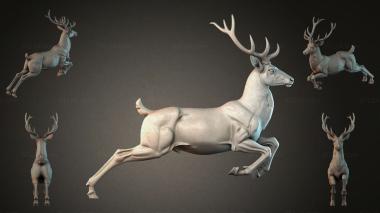Animal figurines STKJI_007301 3d model