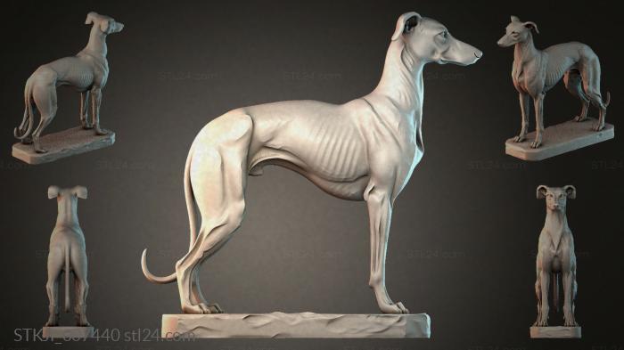 STKJI_007440 3d STL model