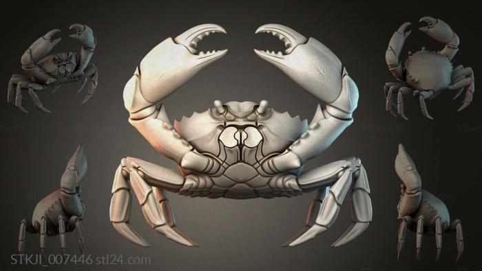 STKJI_007446 3d STL model