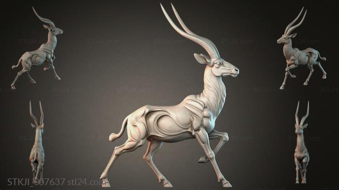 STKJI_007637 3d STL model