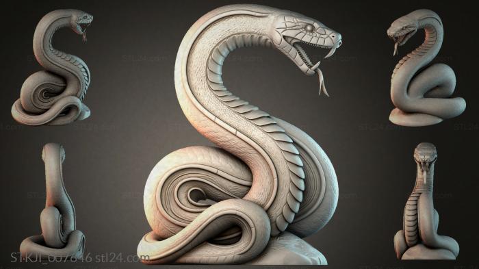 STKJI_007646 3d STL model
