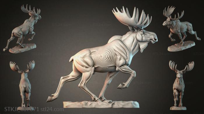STKJI_007671 3d STL model