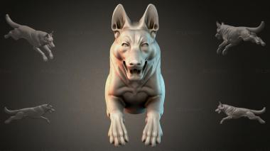 Animal figurines STKJI_008035 3d model