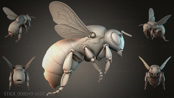 STKJI_008049 3d STL model