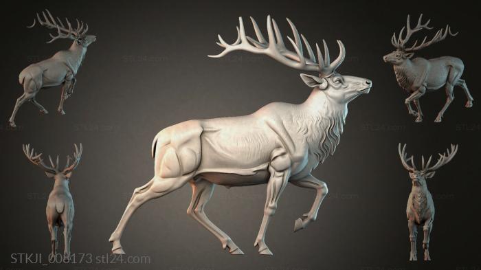 STKJI_008173 3d STL model
