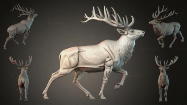 Animal figurines STKJI_008173 3d model