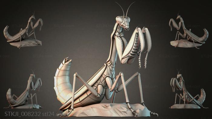 STKJI_008232 3d STL model