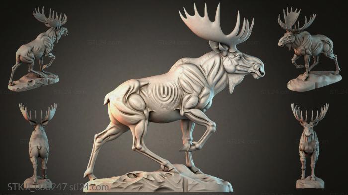 STKJI_008247 3d STL model