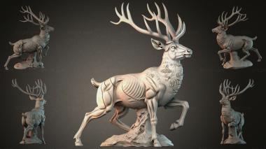 Animal figurines STKJI_008262 3d model