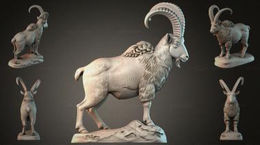 Animal figurines STKJI_008403 3d model