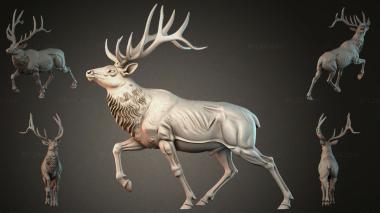 Animal figurines STKJI_008428 3d model