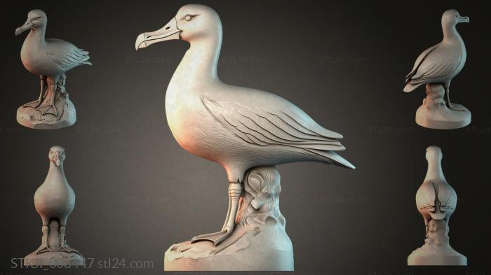 Albatross migratory bird on a stand 3d STL model