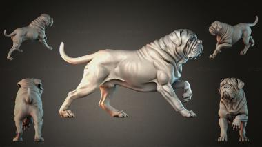 Animal figurines STKJI_008705 3d model