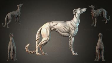 Animal figurines STKJI_008708 3d model