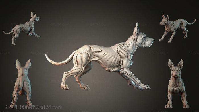 STKJI_008822 3d STL model