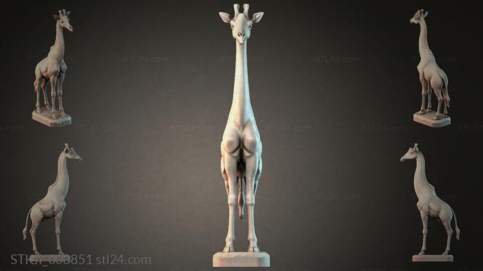STKJI_008851 3d STL model