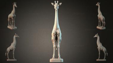 Animal figurines STKJI_008851 3d model