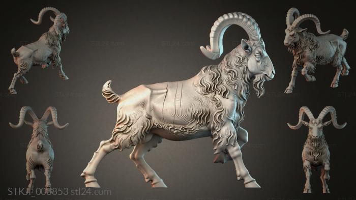 STKJI_008853 3d STL model