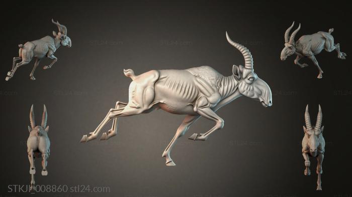 STKJI_008860 3d STL model