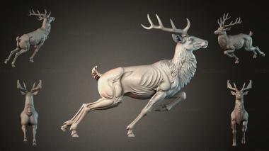 Animal figurines STKJI_009109 3d model