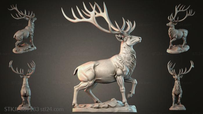 STKJI_009133 3d STL model