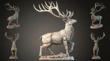 Animal figurines STKJI_009133 3d model