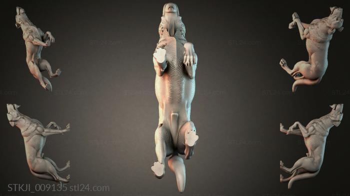 STKJI_009135 3d STL model