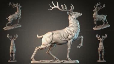 Animal figurines STKJI_009163 3d model
