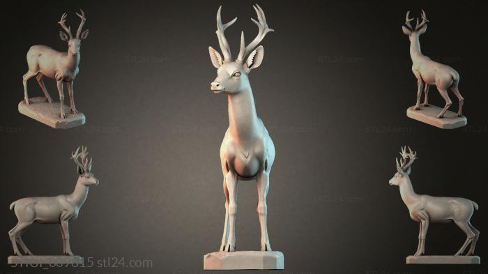 STKJI_009615 3d STL model