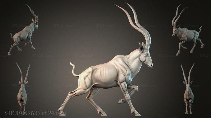 STKJI_009639 3d STL model