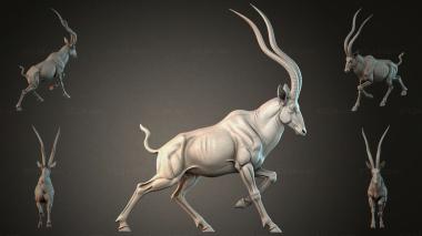 Animal figurines STKJI_009639 3d model