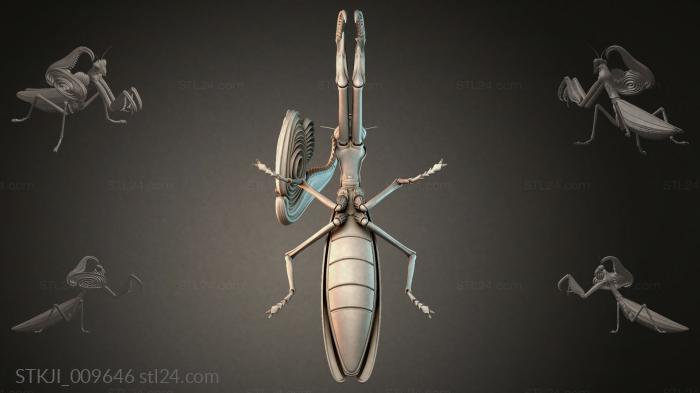 STKJI_009646 3d STL model
