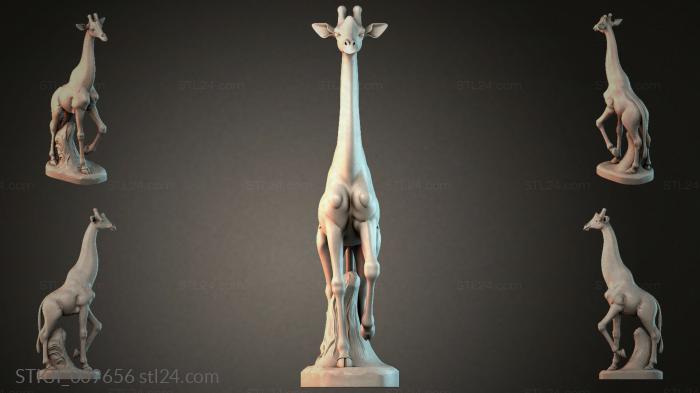 STKJI_009656 3d STL model
