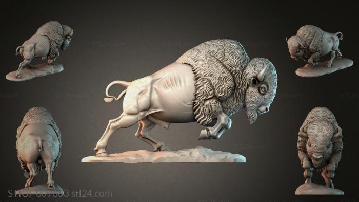 STKJI_009663 3d STL model