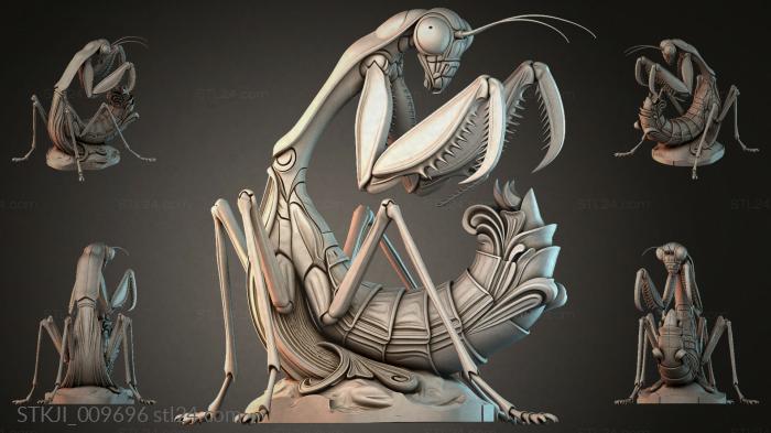 STKJI_009696 3d STL model